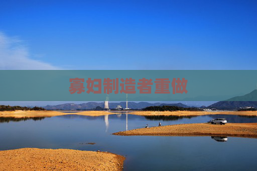 寡妇制造者重做