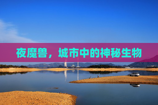 夜魔兽，城市中的神秘生物