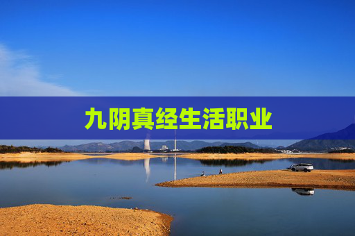 九阴真经生活职业 九阴真经生活职业