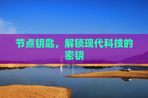 节点钥匙，解锁现代科技的密钥