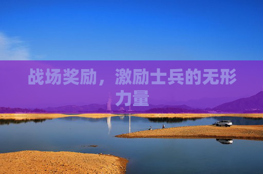 战场奖励,激励士兵的无形力量 战场奖励,激励士兵的无形力量