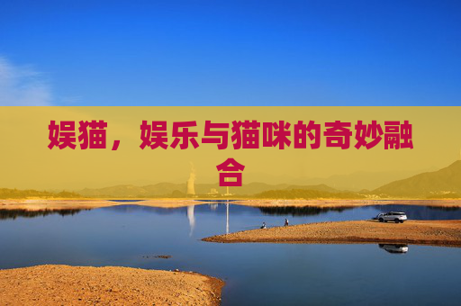 娱猫,娱乐与猫咪的奇妙融合 娱猫,娱乐与猫咪的奇妙融合