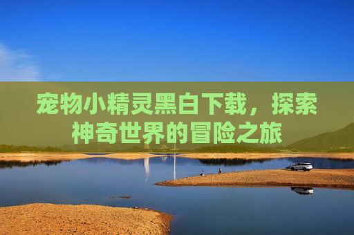 宠物小精灵黑白下载,探索神奇世界的冒险之旅 宠物小精灵黑白下载,探索神奇世界的冒险之旅