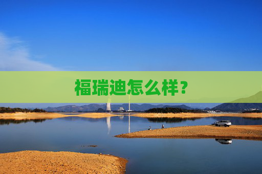 福瑞迪怎么样？
