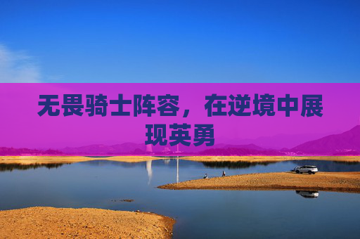 无畏骑士阵容,在逆境中展现英勇 无畏骑士阵容,在逆境中展现英勇