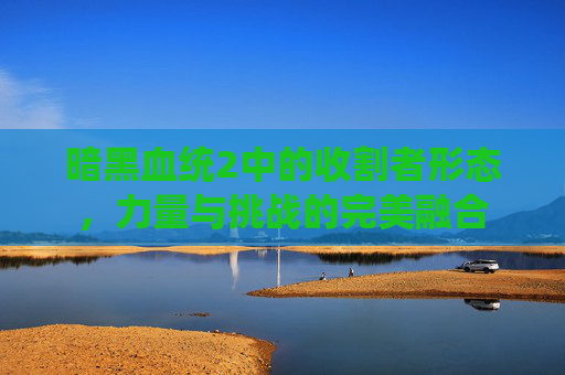 暗黑血统2中的收割者形态，力量与挑战的完美融合