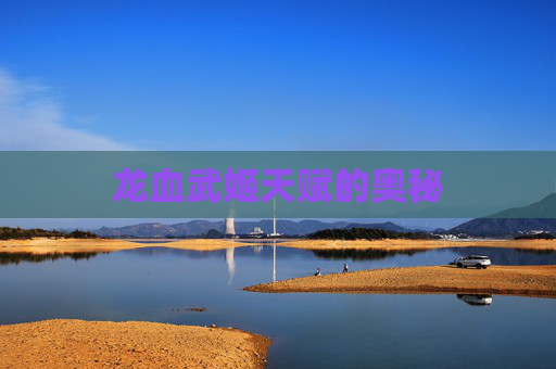 龙血武姬天赋的奥秘 龙血武姬天赋的奥秘