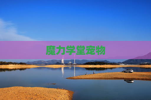 魔力学堂宠物 魔力学堂宠物