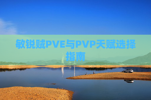 敏锐贼PVE与PVP天赋选择指南