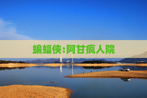 蝙蝠侠:阿甘疯人院 蝙蝠侠:阿甘疯人院