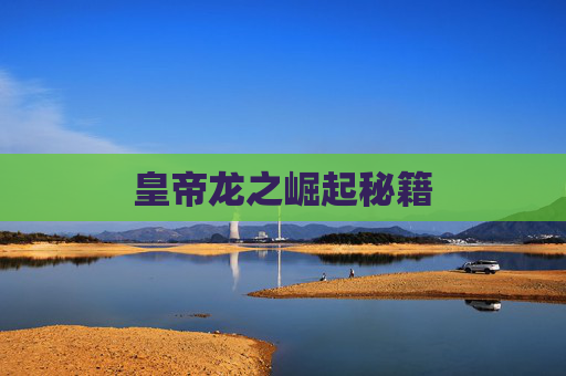 皇帝龙之崛起秘籍 皇帝龙之崛起秘籍