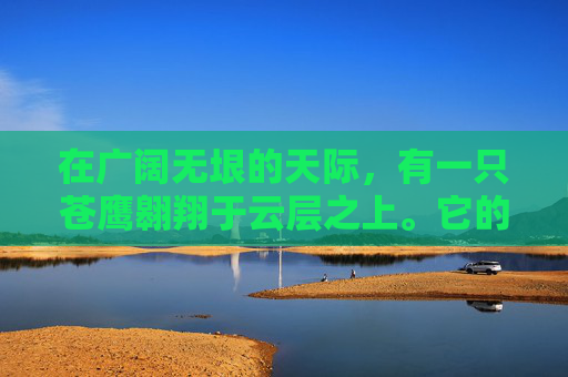 在广阔无垠的天际，有一只苍鹰翱翔于云层之上。它的眼眸深邃而明亮，仿佛能洞察世间的一切秘密。这只苍鹰名叫苍穹，它是这片天空的守护者，也是所有生灵敬畏的对象