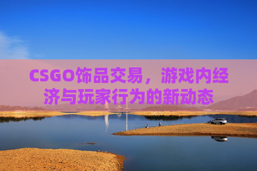 CSGO饰品交易，游戏内经济与玩家行为的新动态