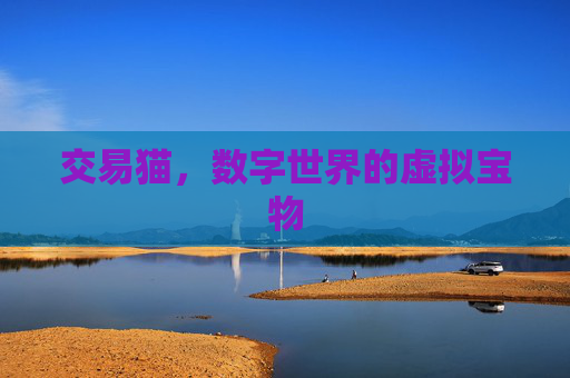 交易猫,数字世界的虚拟宝物 交易猫,数字世界的虚拟宝物