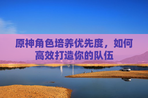 原神角色培养优先度,如何高效打造你的队伍 原神角色培养优先度,如何高效打造你的队伍