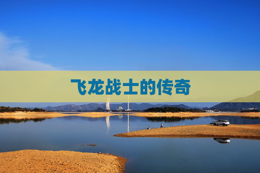 飞龙战士的传奇 飞龙战士的传奇