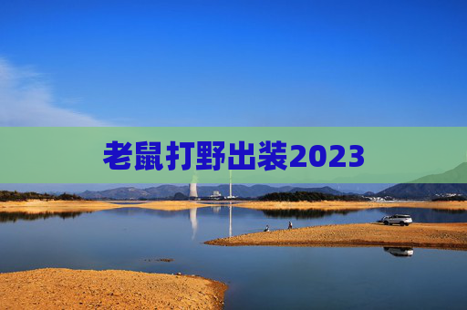 老鼠打野出装2023