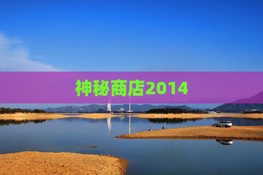 神秘商店2014