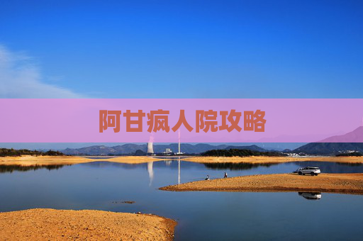 阿甘疯人院攻略