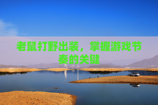 老鼠打野出装,掌握游戏节奏的关键 老鼠打野出装,掌握游戏节奏的关键