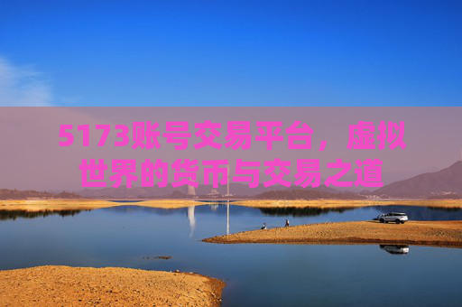 5173账号交易平台,虚拟世界的货币与交易之道 5173账号交易平台,虚拟世界的货币与交易之道