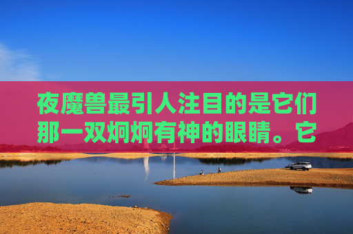 夜魔兽最引人注目的是它们那一双炯炯有神的眼睛。它们的眼睛可以看穿黑暗,洞察一切。无论是白天还是黑夜,它们都能清晰地看到周围的一切。这使得它们成为了森林中的守护者,保护着这片土地的安宁 夜魔兽最引人注目的是它们那一双炯炯有神的眼睛。它们的眼睛可以看穿黑暗,洞察一切。无论是白天还是黑夜,它们都能清晰地看到周围的一切。这使得它们成为了森林中的守护者,保护着这片土地的安宁