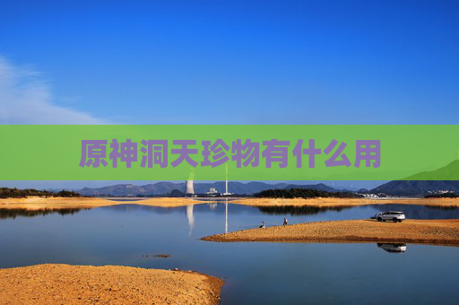 原神洞天珍物有什么用 原神洞天珍物有什么用