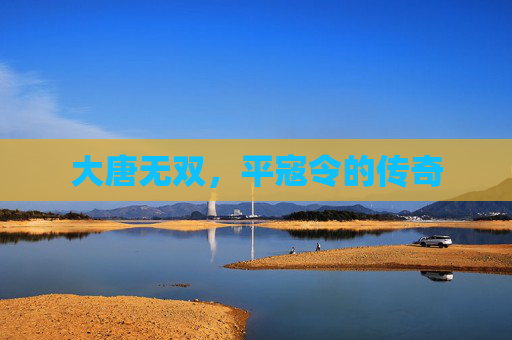 大唐无双,平寇令的传奇 大唐无双,平寇令的传奇