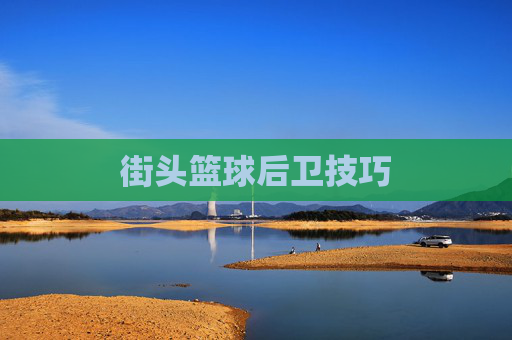 街头篮球后卫技巧