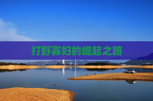 打野寡妇的崛起之路 打野寡妇的崛起之路