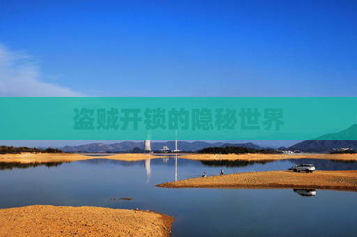 盗贼开锁的隐秘世界 盗贼开锁的隐秘世界