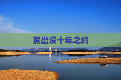 熊出没十年之约 熊出没十年之约