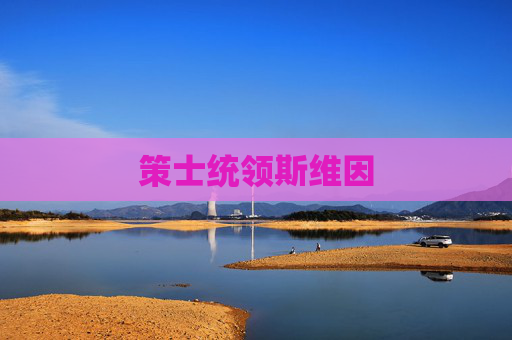 策士统领斯维因 策士统领斯维因