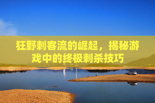 狂野刺客流的崛起,揭秘游戏中的终极刺杀技巧 狂野刺客流的崛起,揭秘游戏中的终极刺杀技巧