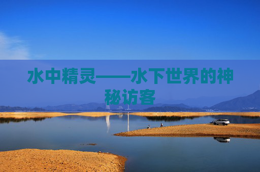 水中精灵——水下世界的神秘访客 水中精灵——水下世界的神秘访客