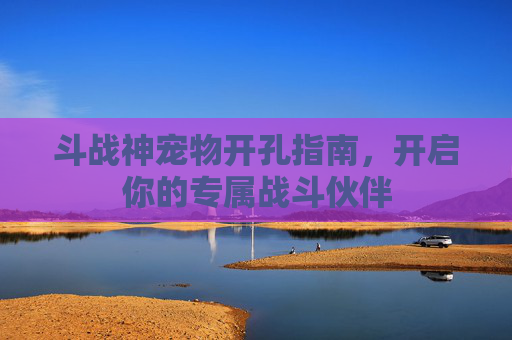 斗战神宠物开孔指南,开启你的专属战斗伙伴 斗战神宠物开孔指南,开启你的专属战斗伙伴