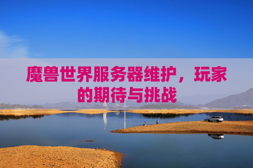 魔兽世界服务器维护,玩家的期待与挑战 魔兽世界服务器维护,玩家的期待与挑战