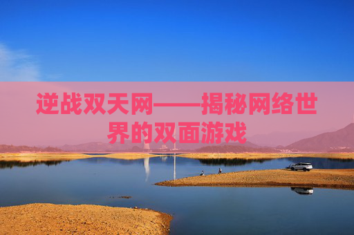 逆战双天网——揭秘网络世界的双面游戏 逆战双天网——揭秘网络世界的双面游戏
