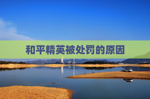 和平精英被处罚的原因 和平精英被处罚的原因