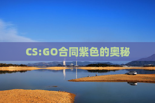 CS:GO合同紫色的奥秘