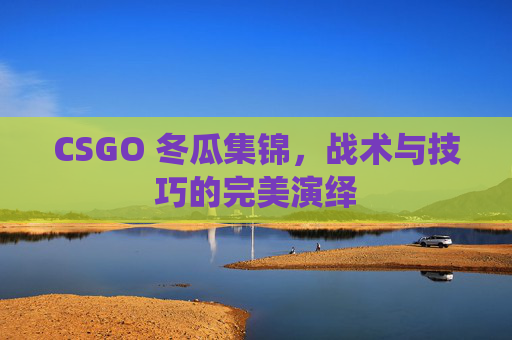 CSGO 冬瓜集锦,战术与技巧的完美演绎 CSGO 冬瓜集锦,战术与技巧的完美演绎