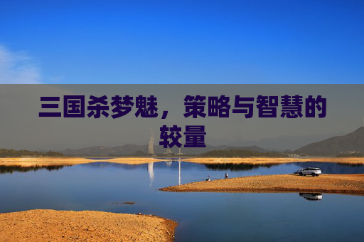 三国杀梦魅,策略与智慧的较量 三国杀梦魅,策略与智慧的较量