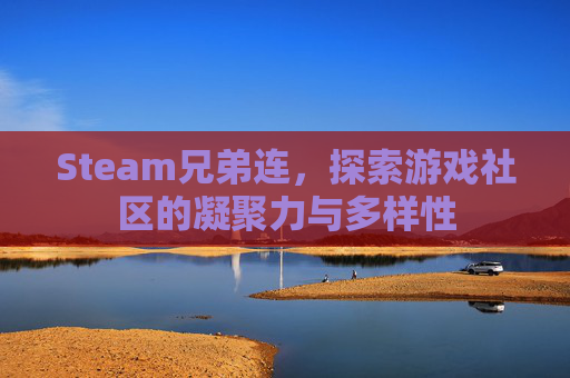 Steam兄弟连，探索游戏社区的凝聚力与多样性
