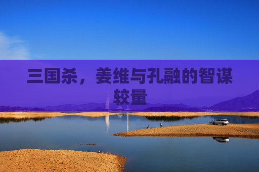 三国杀,姜维与孔融的智谋较量 三国杀,姜维与孔融的智谋较量