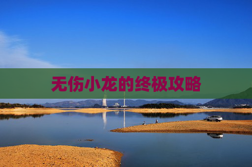 无伤小龙的终极攻略