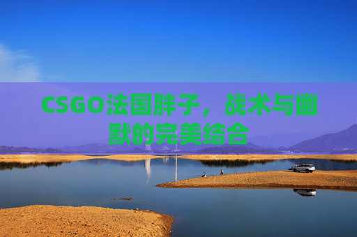 CSGO法国胖子,战术与幽默的完美结合 CSGO法国胖子,战术与幽默的完美结合