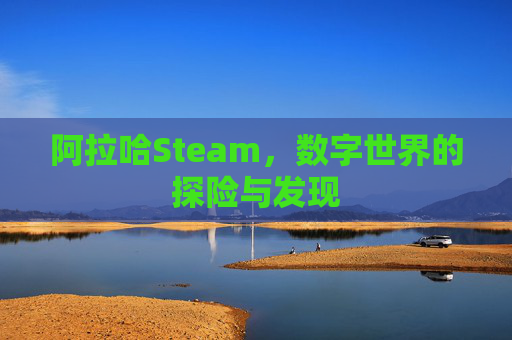 阿拉哈Steam,数字世界的探险与发现 阿拉哈Steam,数字世界的探险与发现