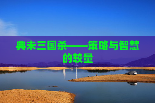 典未三国杀——策略与智慧的较量 典未三国杀——策略与智慧的较量