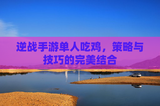 逆战手游单人吃鸡,策略与技巧的完美结合 逆战手游单人吃鸡,策略与技巧的完美结合