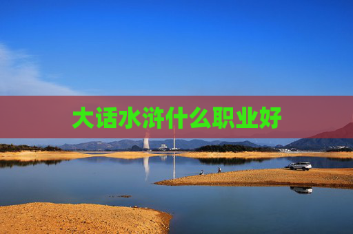 大话水浒什么职业好